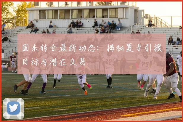 国米转会最新动态：揭秘夏季引援目标与潜在交易