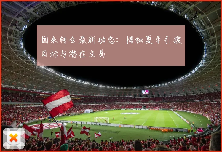 国米转会最新动态：揭秘夏季引援目标与潜在交易