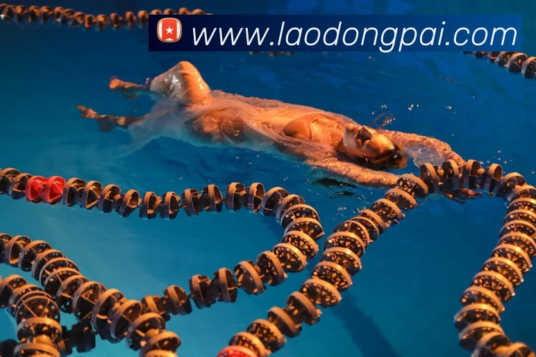 emc体育地址服务体系